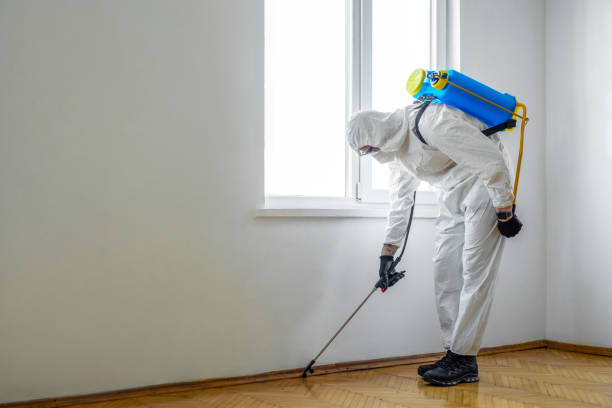 Best Commercial Pest Control Services  in USA